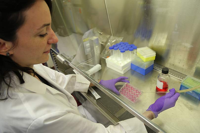 Female researcher in the lab