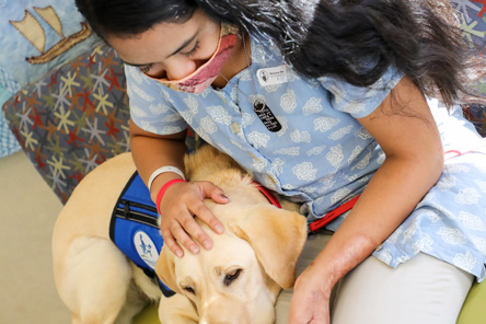 therapy dog and patient
