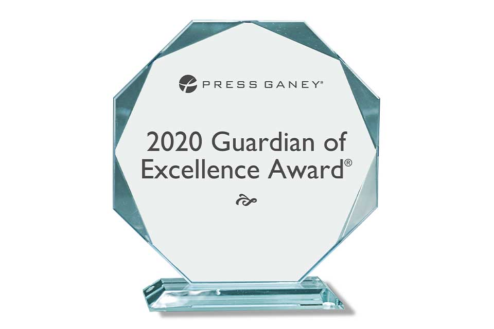 guardian of excellence award greenville