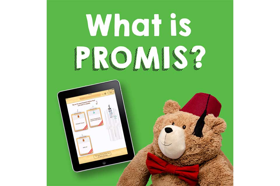 what is promis canada