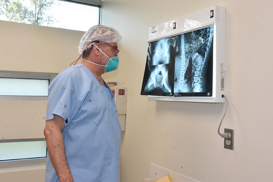 physician examining X-rays
