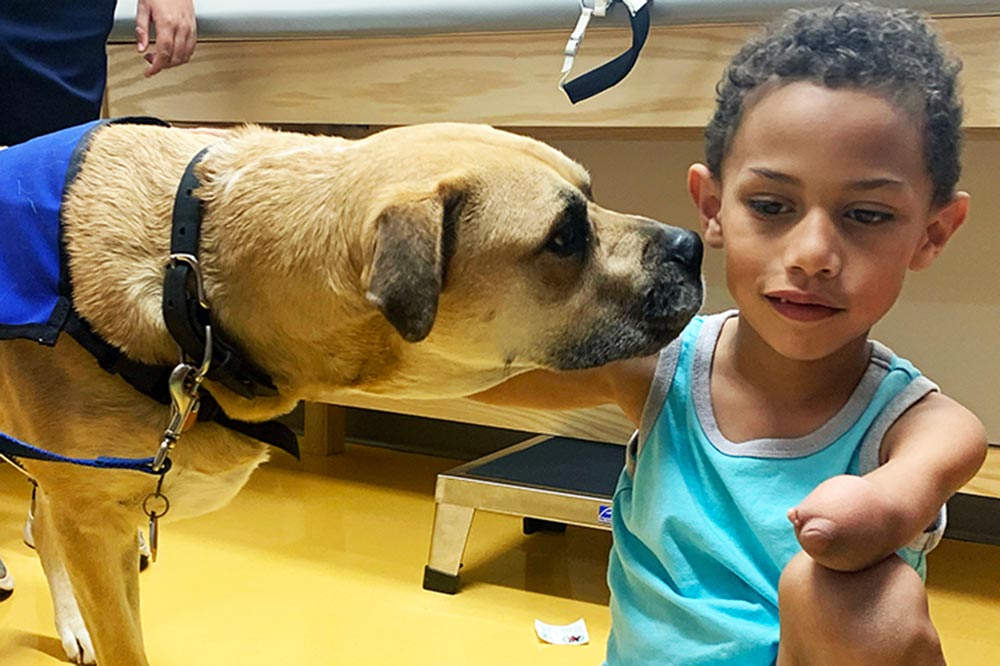 Shriners Children’s Lexington Adds Pet Therapy