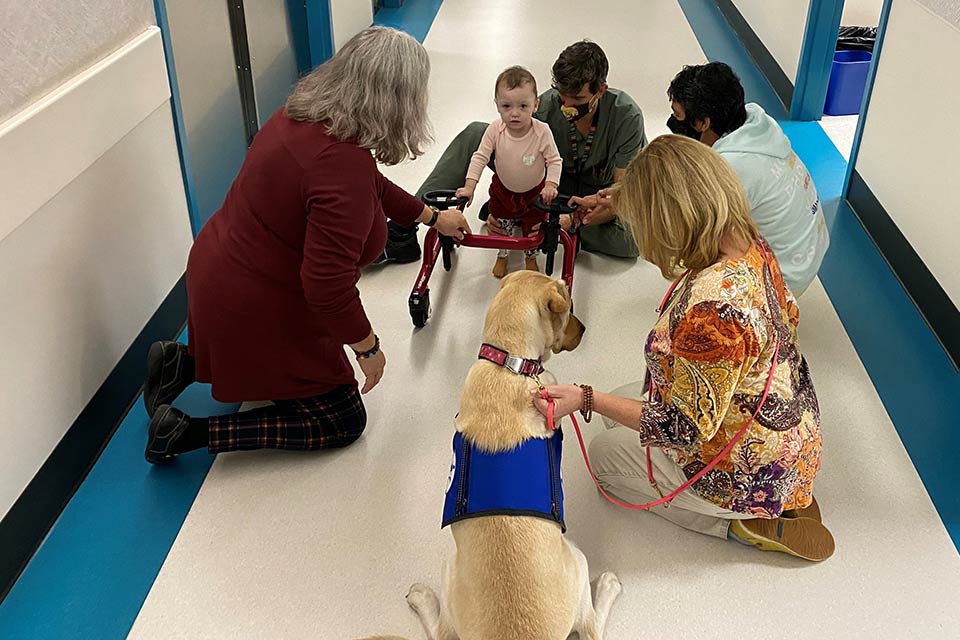 La perra de terapia, Ginny, miembros del personal y un paciente joven usando un andador.