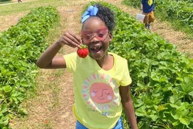 Madi picking strawberries