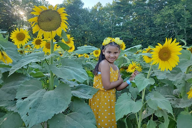 Mila in a sunflower field