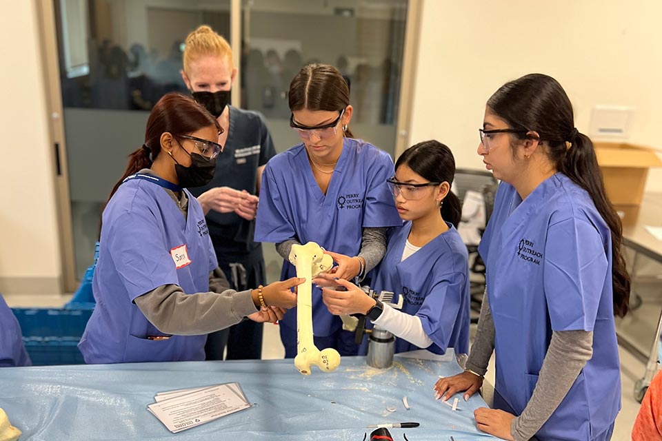 Dr. Friel working with group of four students