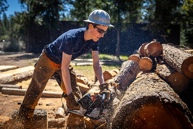Daniel cutting a log with a chainsaw