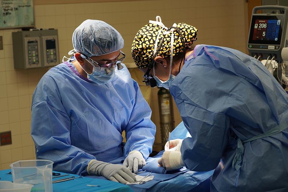 two physicians during hand surgery