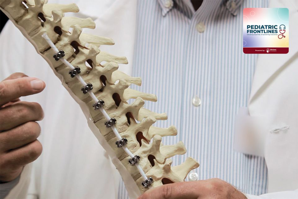 an adult holding a model of a spine